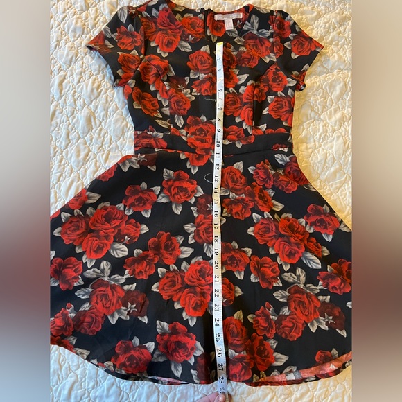 Forever 21 Roses Dress - Picture 3 of 7